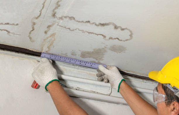 Reliable Structural Drying contractor in East Flat Rock, NC by Water Damage Irwin